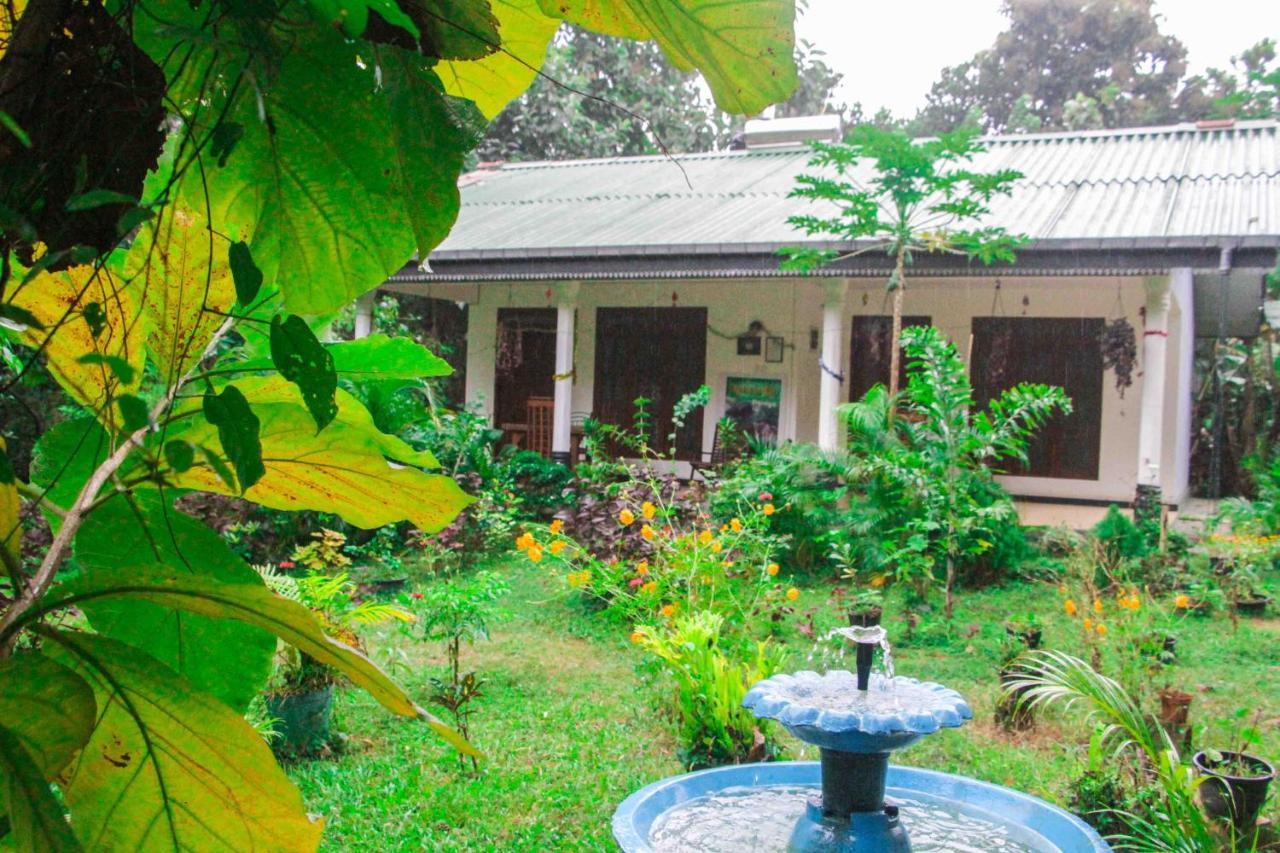Sigiriya Mana B&B Exterior foto